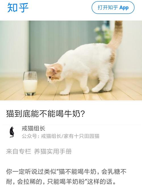 猫能喝纯牛奶吗无糖